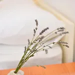 Apartman Juka *