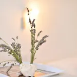 Apartman Juka