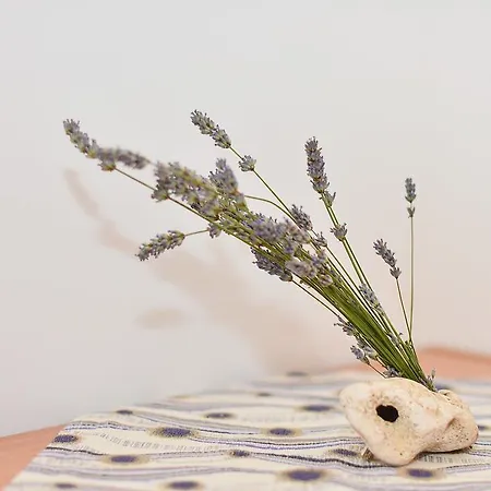 Juka شقة هفار